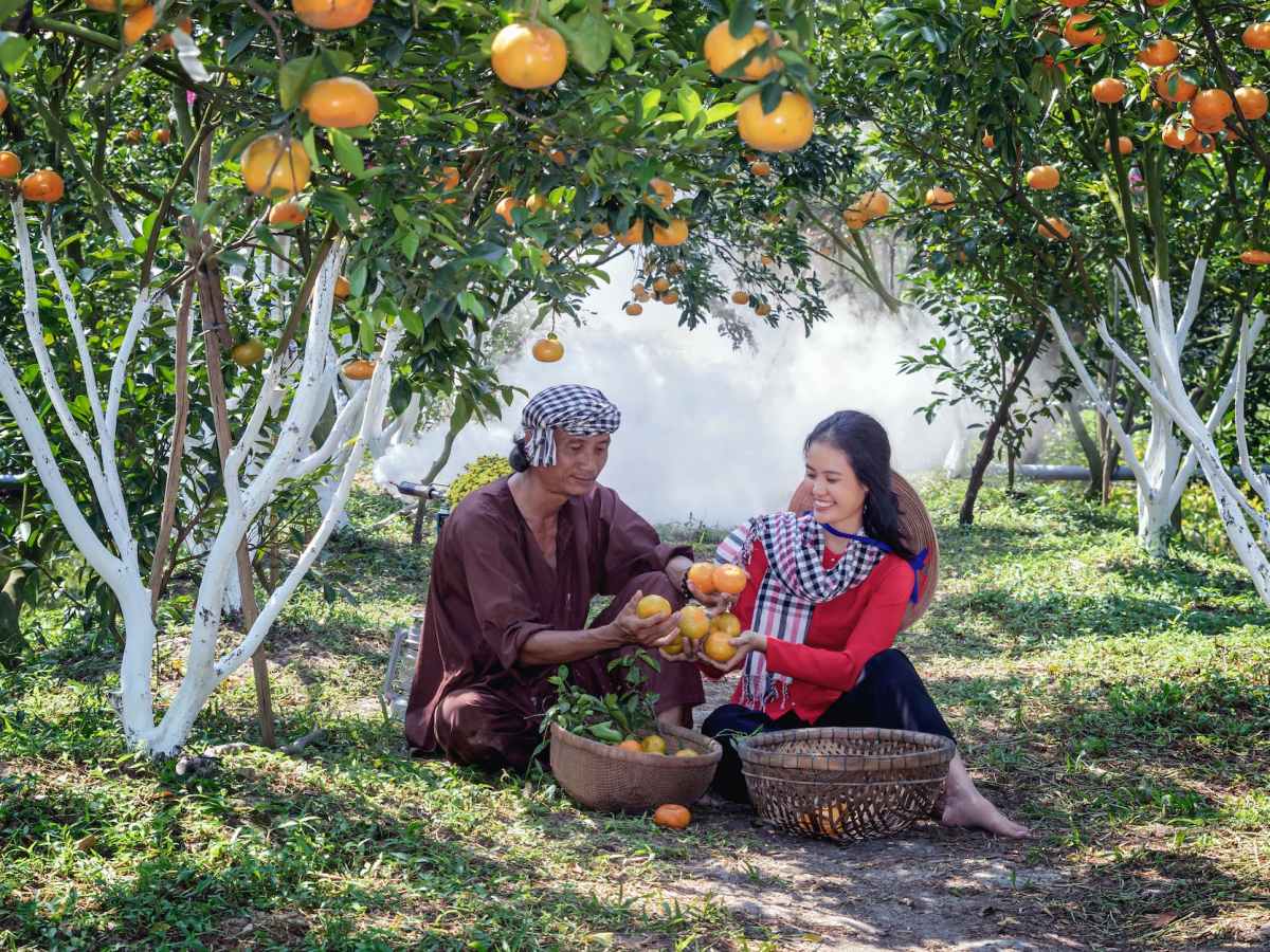 7 Gründe für den Schrebergarten/Kleingarten – oder auch&nbsp;nicht