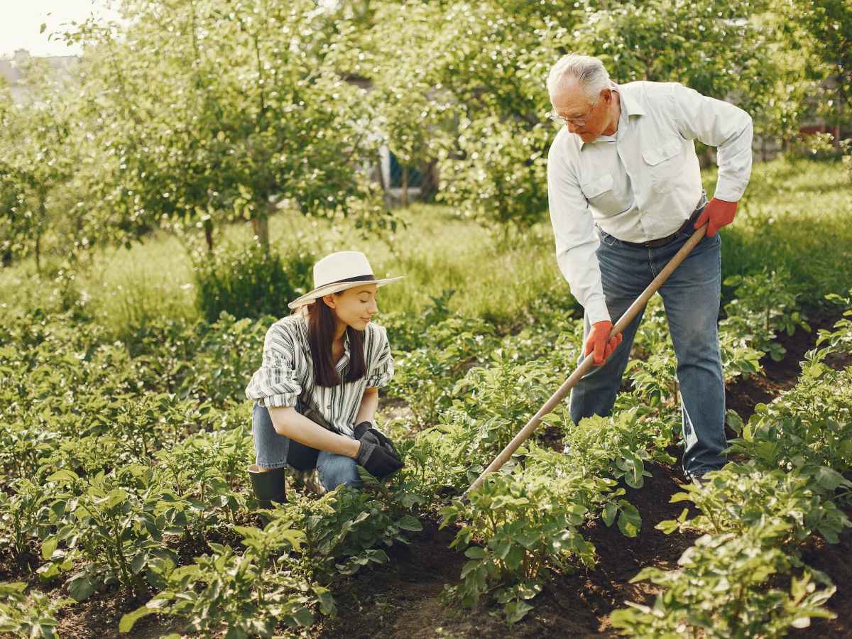 Der Schrebergarten – der große Leitfaden ins grüne&nbsp;Glück!